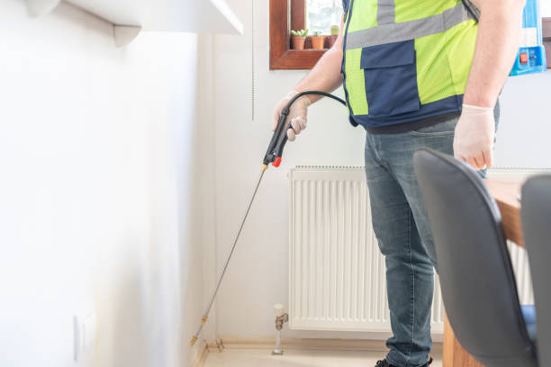 Best Bed Bug Extermination  in San Clemente, CA